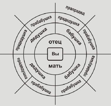 Пример кругового древа