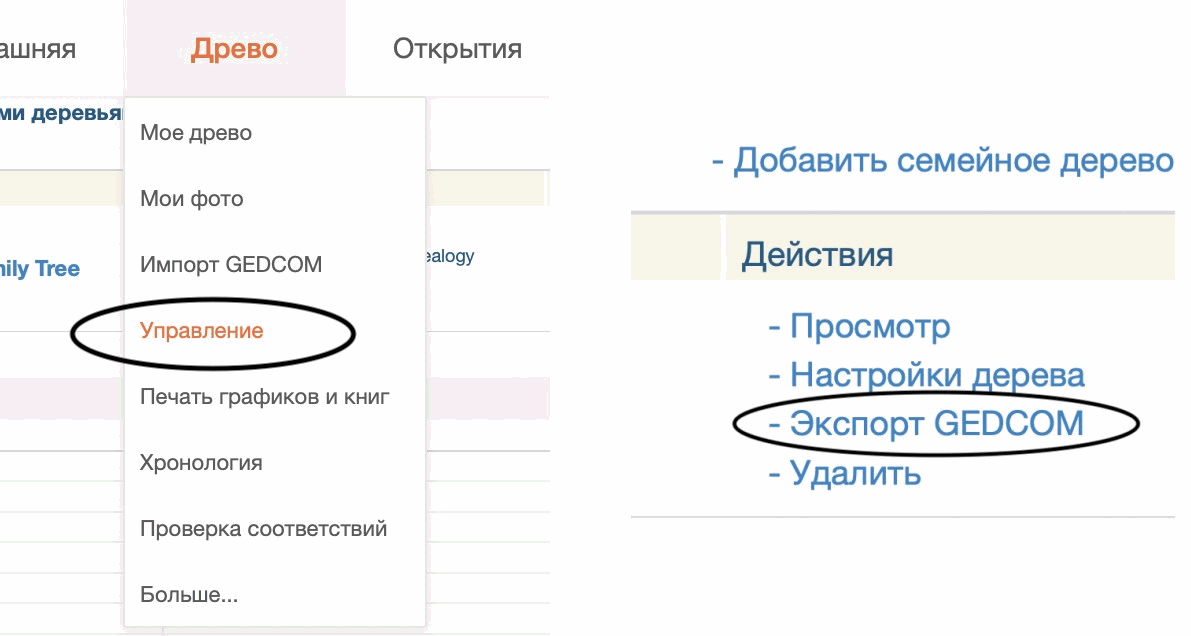 Экспорт файла GEDCOM из MyHeritage
