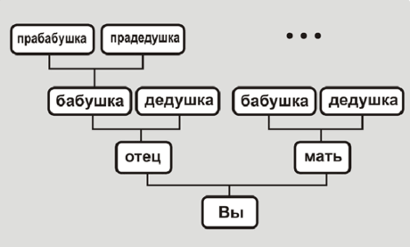 Пример восходящего древа